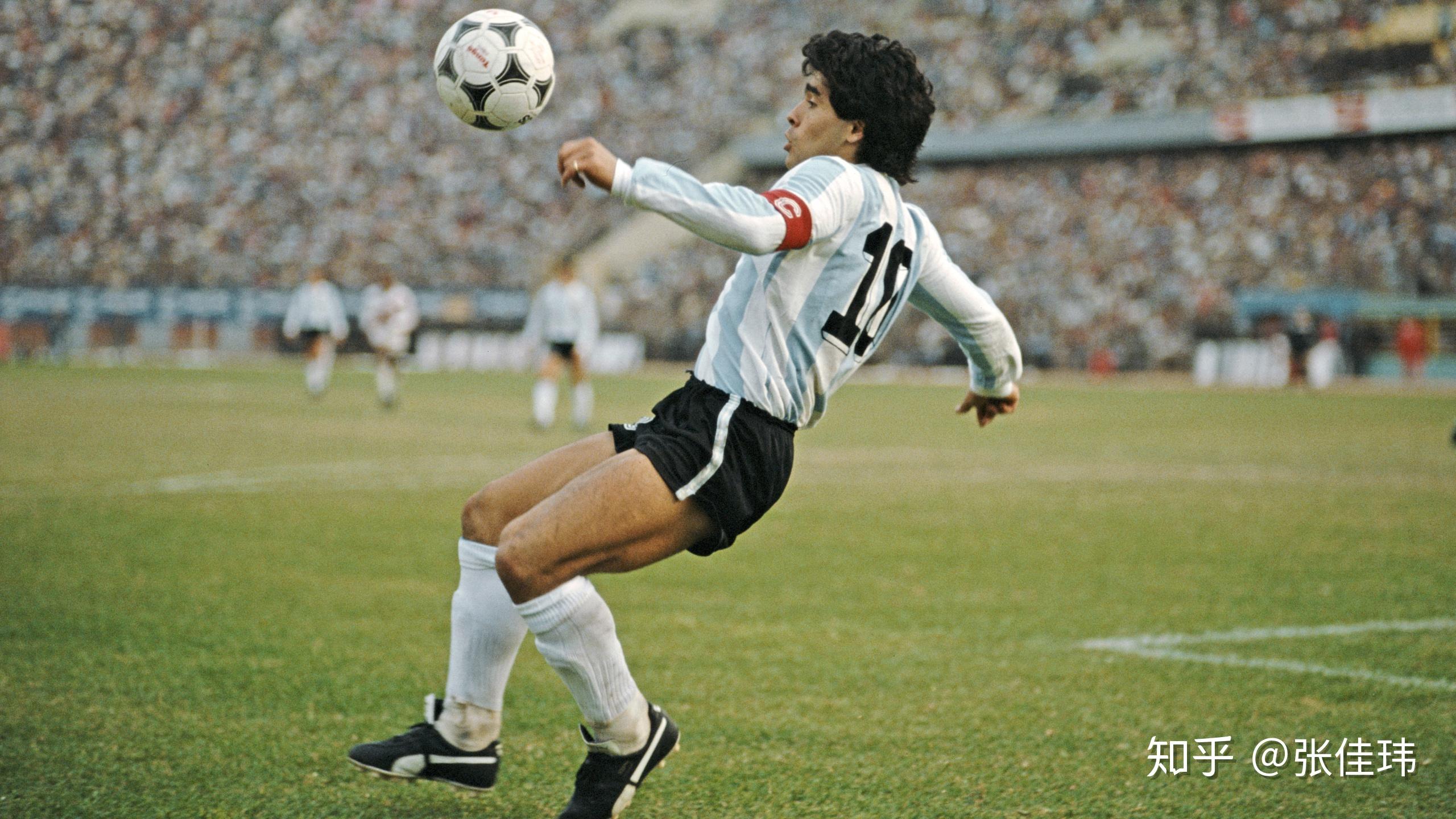 哪里有PG天竺王朝 平台优化